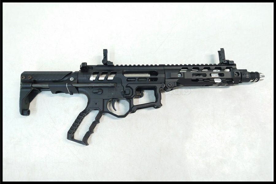 東京)SYSTEMA PTW INFINITY F1 コンプリートモデル トレポン