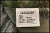 chc-2602263417-ai-081540319_10.jpg