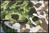 chc-2603263313-ai-081532568_7.jpg