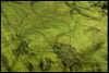 chc-2603283403-ai-081532585_5.jpg