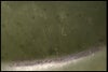 chc-2603313403-ai-081532709_9.jpg