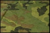 chc-2604043312-ai-081532613_5.jpg